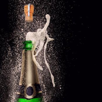 Design Perfect Champagne Bottle Labels for Your Brand