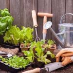 Lawn and Garden Labels: Packaging for Outdoor Products