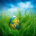 Discover the Value of Eco-Friendly Custom Labels
