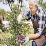 Whole Foods Creates "Responsibly Grown" Food Label