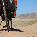 How Will You Capitalize on National Bike Month?