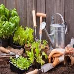 Important Pesticide Information to Include on Lawn and Garden Labels