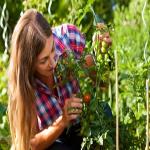 Promote Planting Season with Custom Garden Labels
