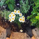 Get Your Home and Garden Products Ready for Spring with Custom Labels