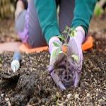Grow Your Garden and Lawn Care Product Sales with Custom Labels that Stand Out