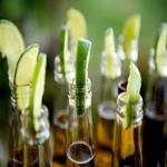 Custom Beer Labels On Tap For Your Summer