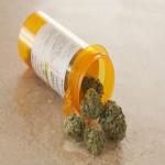 Medical Marijuana Label Trends