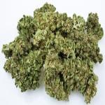 Get Ready for 4/20 with Custom Cannabis Labels and Stickers