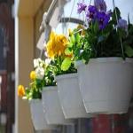 Update Your Products for Spring with Vibrant High-Quality Labels