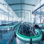 Top 5 Benefits Of Buying Labels On A Roll