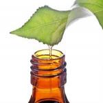 How to Label Your Essential Oil Bottles Like a Pro
