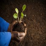 Advocates for Farm Workers Recommend Bilingual Product Warning Labels on Pesticides