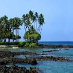 Hawaiian State Senate Says 'Aloha' To GMO Custom Food Labels