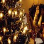 Planning Custom Packaging Ideas for the Holiday Rush: Seasonal Savvy