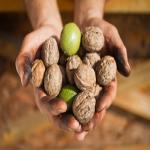 Don't Choke: Doctors Ask for Hazard Labels on Food Products
