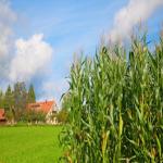 Changes To Pesticide Product Labels May Bug Wisconsin Farmers