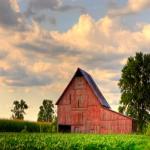 'Certified Naturally Grown' Labels on Food Products An Alternative to 'Organic'