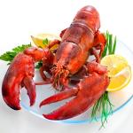 Congress Makes A Splash With Custom Printed Food Labels Legislation