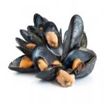 Agencies Try To Mussle Out Invasive Species With Custom Stickers