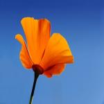 Spring for Colorful Custom Product Labels This Season