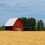 GMO Information on Custom Food Labels Could Soon Be Up To FDA
