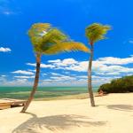 'Day Tripper' Bumper Stickers Support Tourism in Southern Florida