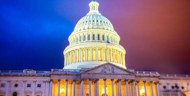 Custom Cannabis Labels and Stickers