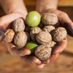 Don't Choke: Doctors Ask for Hazard Labels on Food Products
