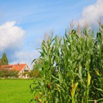 Changes To Pesticide Product Labels May Bug Wisconsin Farmers