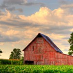 'Certified Naturally Grown' Labels on Food Products An Alternative to 'Organic'