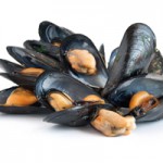 Agencies Try To Mussle Out Invasive Species With Custom Stickers