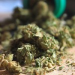 Better Product Packaging Labels May Prevent Accidental Marijuana Ingestion