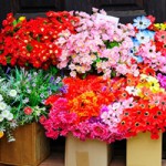 Get A Head Start On Spring Marketing With Ideas For Packaging