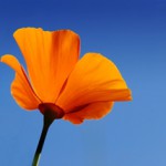 Spring for Colorful Custom Product Labels This Season