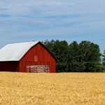 GMO Information on Custom Food Labels Could Soon Be Up To FDA