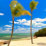 'Day Tripper' Bumper Stickers Support Tourism in Southern Florida