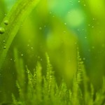 Pesticide Makers Need Warning Labels to Protect Consumers