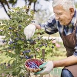 Whole Foods Creates "Responsibly Grown" Food Label