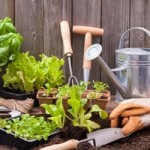 Important Pesticide Information to Include on Lawn and Garden Labels