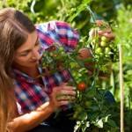 Promote Planting Season with Custom Garden Labels