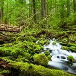 Water Bottle Labels Help Celebrate National Clean Water Month