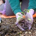 Grow Your Garden and Lawn Care Product Sales with Custom Labels that Stand Out