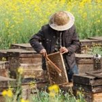 Enhance Honey Jars with High-Quality Custom Jar Labels
