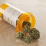 Medical Marijuana Label Trends