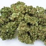 Get Ready for 4/20 with Custom Cannabis Labels and Stickers