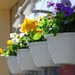 Update Your Products for Spring with Vibrant High-Quality Labels
