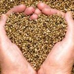 USDA Issues First Organic Hemp Flower Certification – Are Your Hemp Labels Ready To Add This Certification If Your Brand Is A Fit?
