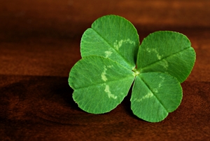 St. Patrick's Day Custom Labels custom labels